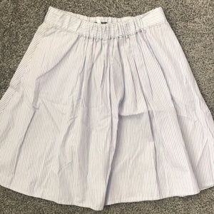 J Crew Skirt
